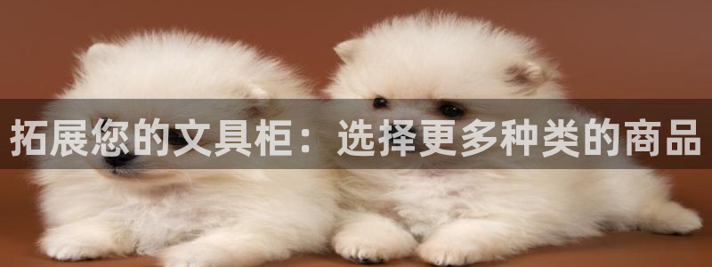 龙八国际手机登录入口：拓展您的文具柜：选