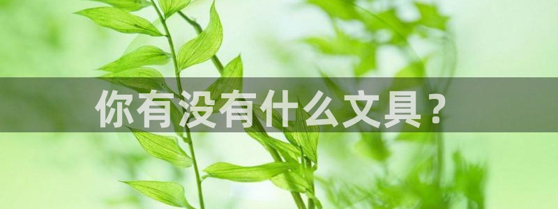 龙八国际这个平台在哪里：你有没有什么文具