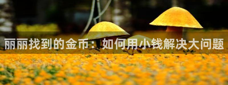 龙八国际app官方下载：丽丽找到的金币：