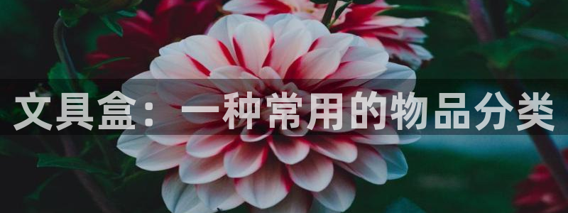 龙八国际app安卓：文具盒：一种常用的物