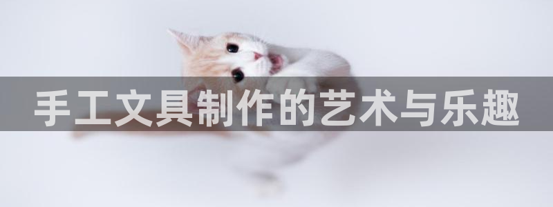 龙八国际手机版下载地址：手工文具制作的艺