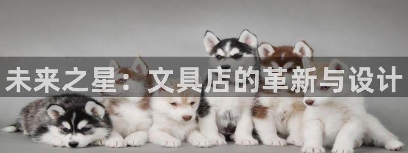 龙八国际可b48点tv：未来之星：文具店