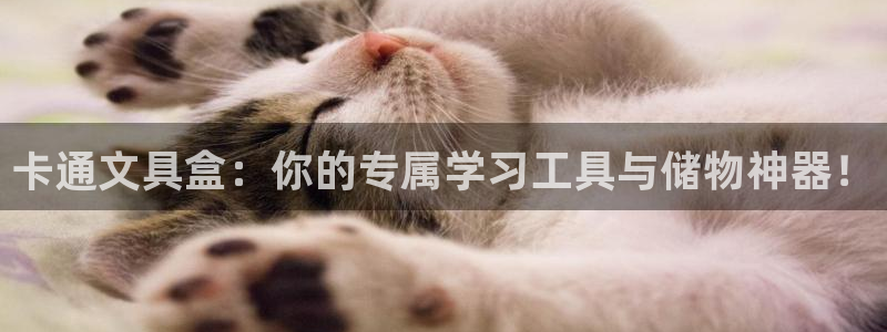 龙八国际手机版登录：卡通文具盒：你的专属