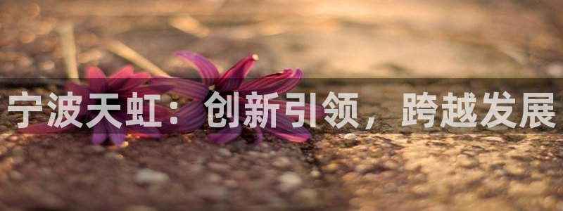 龙八国际APP官方版：宁波天虹：创新引领