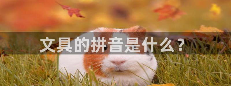 下载龙八国际网站：文具的拼音是什么？