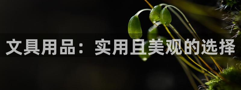 龙八国际娱乐老板是谁