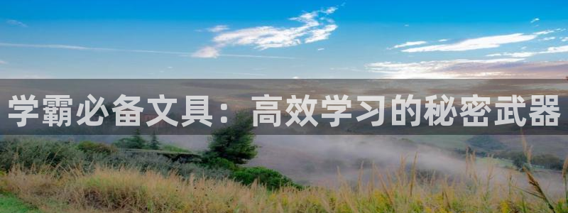 天津龙八国际