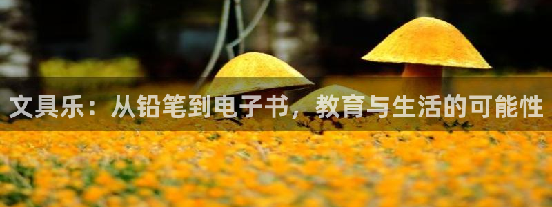 龙八国际app客户端下载苹果：文具乐：从