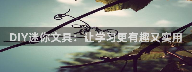 龙八国际官网进入：DIY迷你文具：让学习