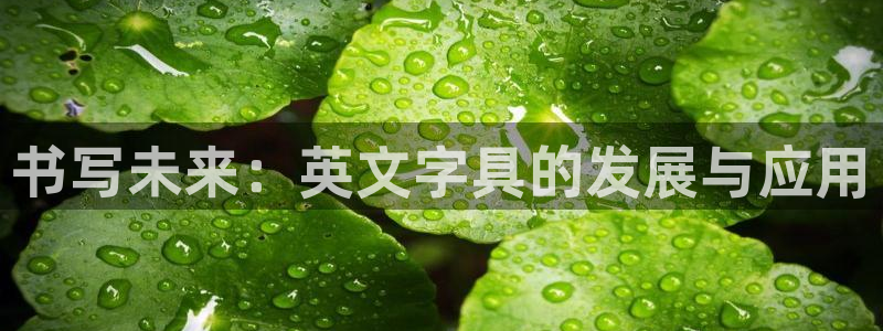 龙八国际娱乐：书写未来：英文字具的发展与