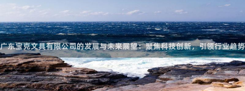 龙八国际手机端官网：广东宝克文具有限公司