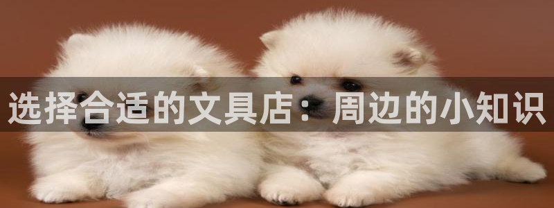 龙八国际娱乐官方网址
