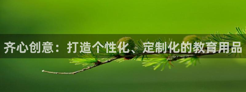 龙八国际平台安卓：齐心创意：打造个性化、