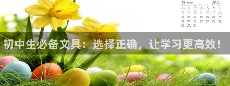 龙八国际网站手机版：初中生必备文具：选择