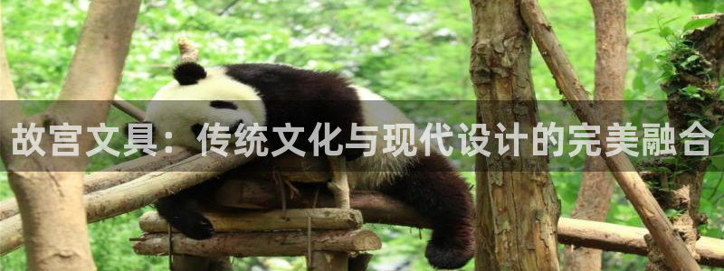 龙八国际股票