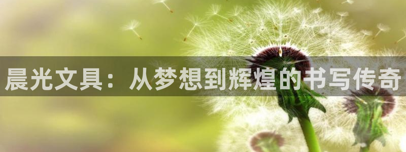 龙八国际 官网