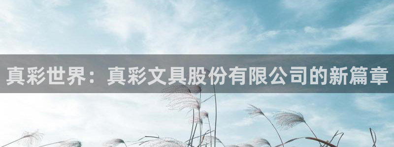 石家庄龙八国际老板是谁：真彩世界：真彩文